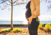 pregnancy diet and nutrition
